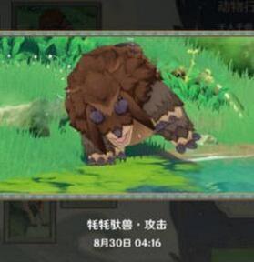 原神动物行为拍照攻略