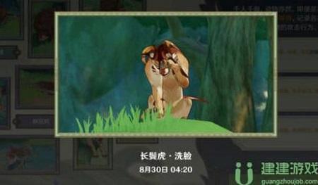 原神动物行为拍照攻略