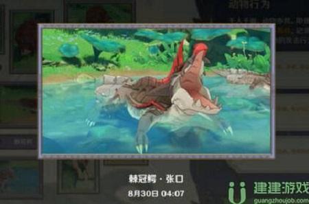 原神动物行为拍照攻略