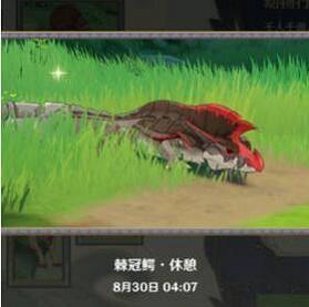 原神动物行为拍照攻略