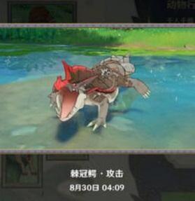 原神动物行为拍照攻略