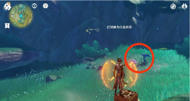 原神护世森秘境解密攻略