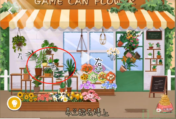 收纳达人有间花店怎么过