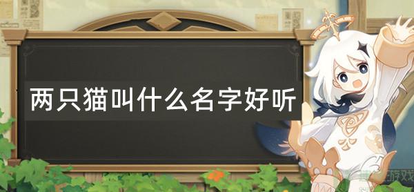 原神两只猫叫什么名字好听