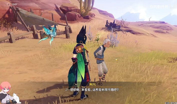 原神金蔷薇后续隐藏任务怎么做