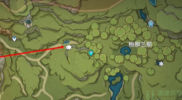 原神劫波莲采集线路