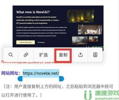novelai怎么注册