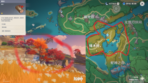 原神木头采集点图文