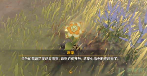 原神隐藏成就碑铭达成攻略