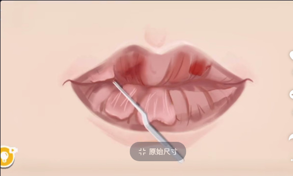 收纳达人唇部护理怎么做攻略