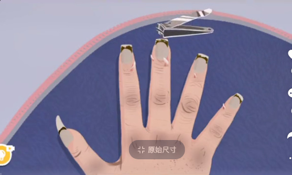 收纳达人最美丑甲怎么进行挑战