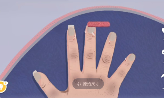 收纳达人最美丑甲怎么进行挑战