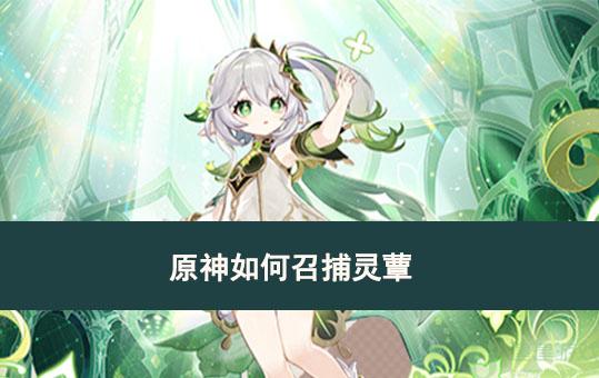 原神如何召捕灵蕈
