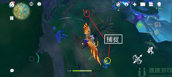 原神如何召捕灵蕈
