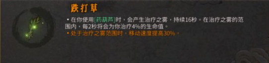 暖雪跌打草效果是什么