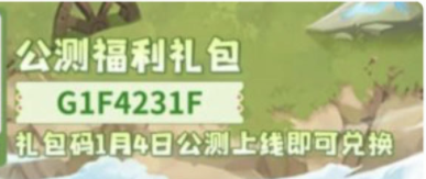 疯狂的库库姆兑换码2024