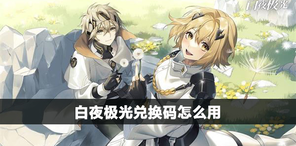 白夜极光兑换码在哪里输入