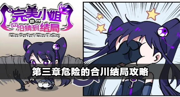 完美小姐她又没猜到结局危险的合川怎么过