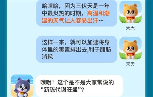 为何三伏天是最佳减肥时期