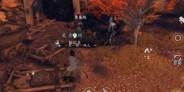 逆水寒手游天涯飘蓬任务怎么过