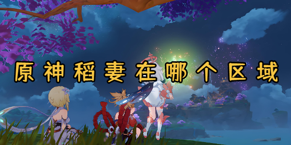 原神稻妻在哪个区域