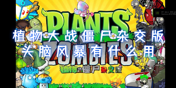 植物大战僵尸杂交版头脑风暴有什么用
