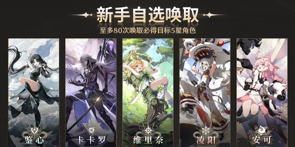 鸣潮自选五星角色攻略