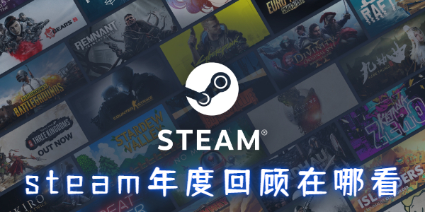 steam2024年度回顾在哪看