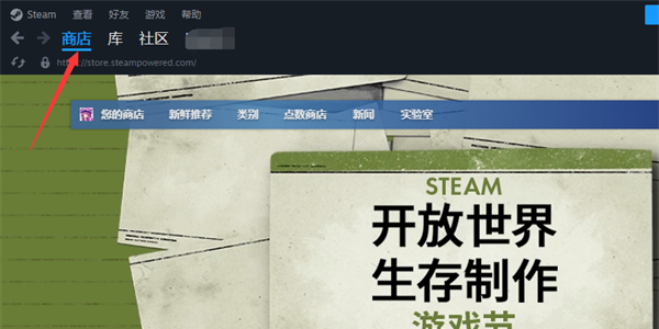 steam2024年度回顾在哪看