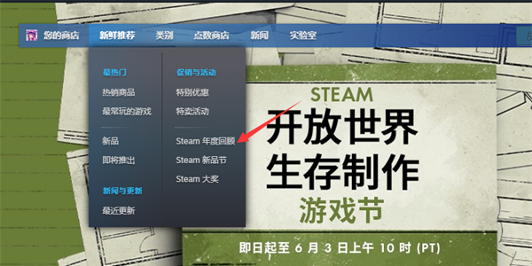 steam2024年度回顾在哪看