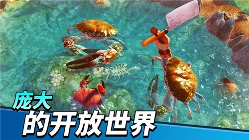 螃蟹之王最新版