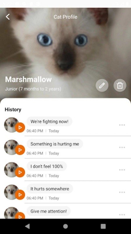 meowtalk