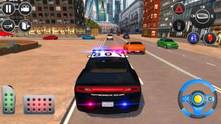 警察追捕模拟器3D2024