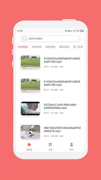 格式大师app